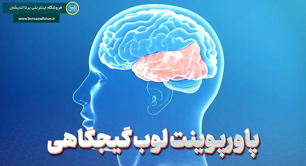 آشنایی با لوب گیجگاهی