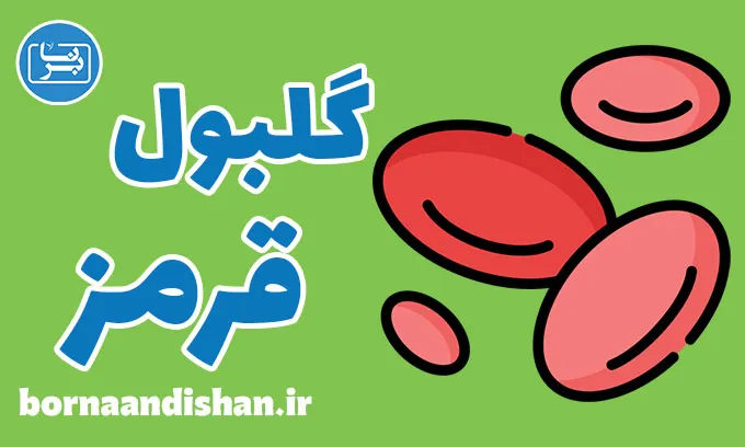 گلبول قرمز: راز انرژی و حیات در خون