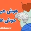 هوش هیجانی و عاطفی: کشف ابعاد جدید هوش