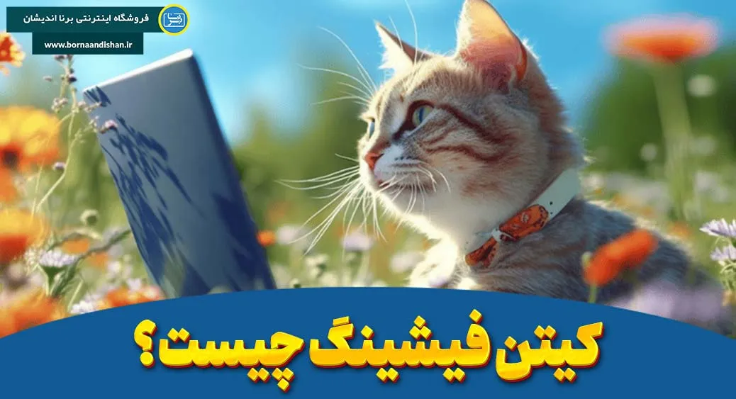 چرا کیتن فیشینگ اتفاق می‌افتد؟  