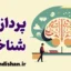 پردازش شناختی و نقش آن در زندگی فردی