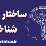 ساختار شناختی: کلید درک پردازش ذهنی انسان