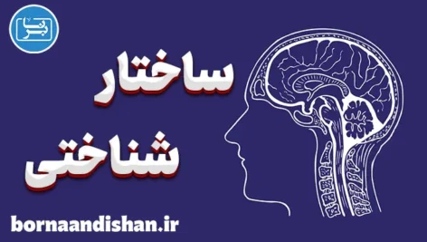 ساختار شناختی: کلید درک پردازش ذهنی انسان