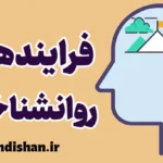 فرایندهای روانشناختی: کلید درک رفتار انسان