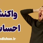 واکنش های احساسی: چگونه آن‌ها را کنترل کنیم؟