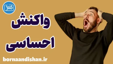 واکنش های احساسی: چگونه آن‌ها را کنترل کنیم؟