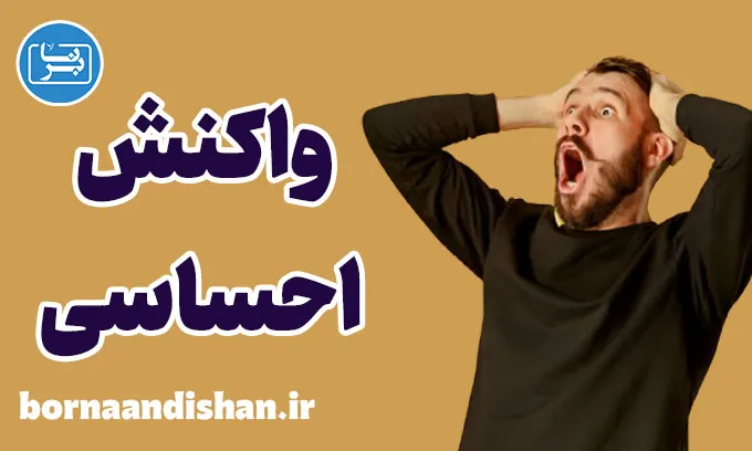 واکنش های احساسی: چگونه آن‌ها را کنترل کنیم؟