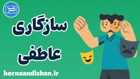 سازگاری عاطفی: مقابله با چالش‌ها