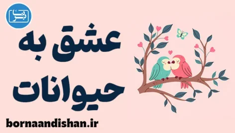 عشق به حیوانات: راز افزایش سلامت روان