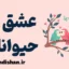 عشق به حیوانات: راز افزایش سلامت روان