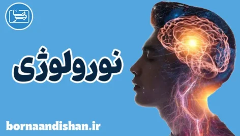 نورولوژی: کشف دنیای پیچیده سیستم عصبی