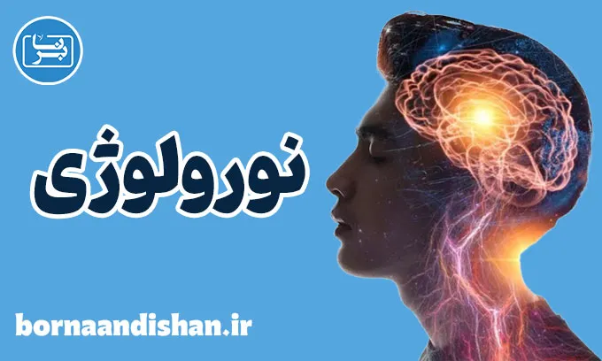 نورولوژی: کشف دنیای پیچیده سیستم عصبی