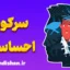 سرکوب احساسات و پیامدهای آن برای زندگی