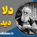 تحلیل شعر «دلا دیدی» هوشنگ ابتهاج