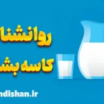 روانشناسی کاسه بشقابی: مزایا و معایب