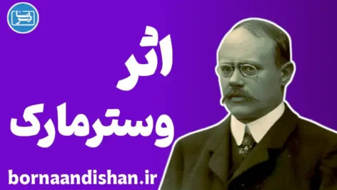 اثر وسترمارک؛ پدیده‌ای در روانشناسی انسان