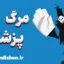 مرگ پزشکی: تفاوت‌های مرگ بالینی و مرگ مغزی