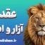 عقده آزار و اذیت در زندگی روزمره