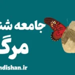 جامعه شناسی مرگ: نابرابری‌های اجتماعی و مرگ