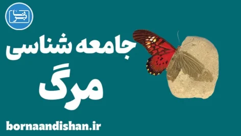 جامعه شناسی مرگ: نابرابری‌های اجتماعی و مرگ
