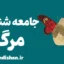 جامعه شناسی مرگ: نابرابری‌های اجتماعی و مرگ