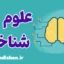 علوم شناختی؛ پکیج جامع روانشناسی