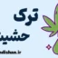 ترک حشیش؛ کارگاه آموزش ترک اعتیاد