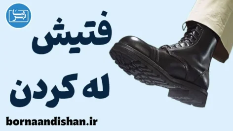 فتیش له کردن: ریشه‌ها، پیامدها و مدیریت علمی