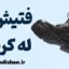 فتیش له کردن: ریشه‌ها، پیامدها و مدیریت علمی