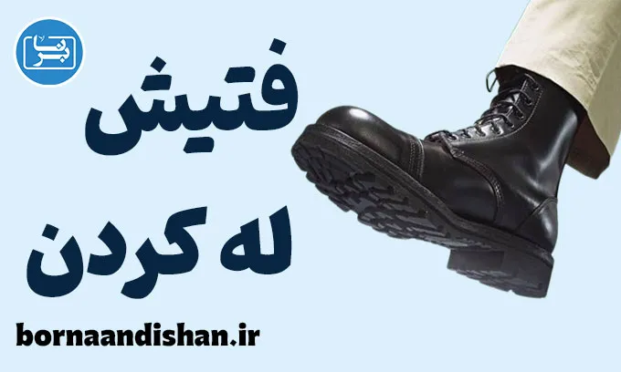 فتیش له کردن: ریشه‌ها، پیامدها و مدیریت علمی
