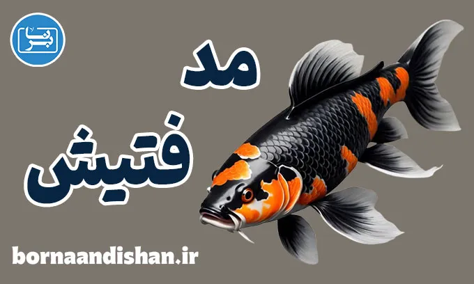 مد فتیش: تاریخچه، روانشناسی و ترندهای جهانی