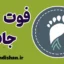فوت جاب: بررسی علمی، روانشناختی و کاربردی