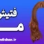تریکوفیلیا: شناخت، شیوع و مدیریت فتیش مو