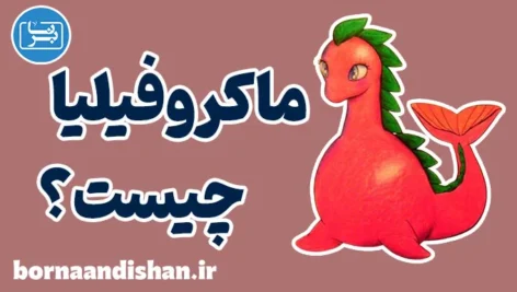 ماکروفیلیا | نگاهی علمی و روانشناسی