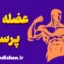 عضله پرستی چیست؟ نگاهی علمی و روانشناختی