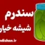 سندرم شیشه خیارشور؛ ریشه قضاوت‌های سطحی