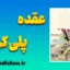 عقده پلی کرات؛ چرا موفقیت را نابود می‌کنیم؟