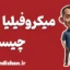 میکروفیلیا: از تخیلات کودکانه تا روابط انسانی واقعی