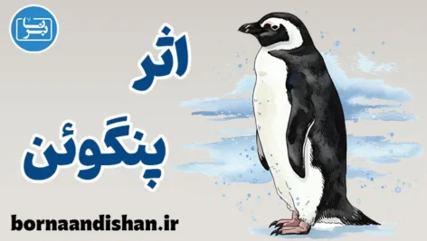 اثر پنگوئن: چگونه سکوت جمعی را بشکنیم؟
