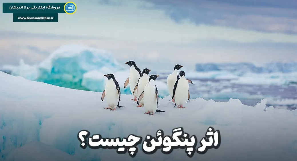 اثر پنگوئن: چرا افراد همیشه منتظر پیشگام هستند؟