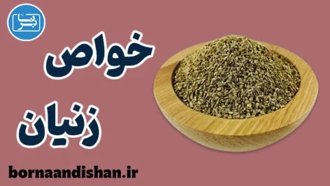 زنیان؛ گیاه معجزه‌گر برای سلامت و تندرستی