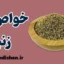 زنیان؛ گیاه معجزه‌گر برای سلامت و تندرستی