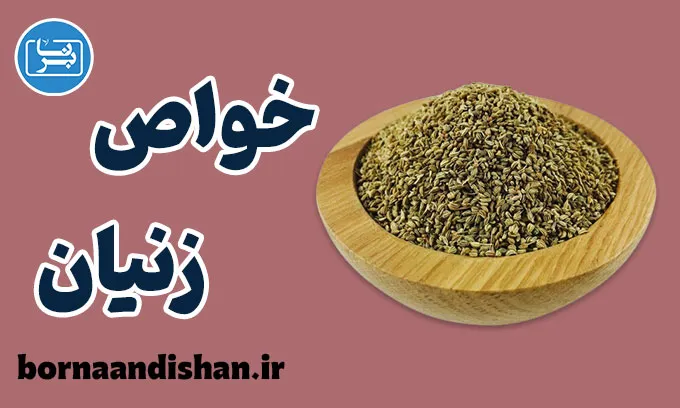 زنیان؛ ادویهای کوچک با خواص بزرگ زنیان؛ گیاه معجزهگر برای سلامت و تندرستی