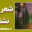 شعر نشانی؛ راز سلوک در کلام سهراب سپهری
