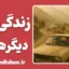 زندگی و دیگر هیچ؛ سینمای تفکر و تجربه زیستن