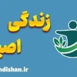 زندگی اصیل؛ سفری از درون به حقیقت وجود