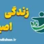 زندگی اصیل؛ سفری از درون به حقیقت وجود