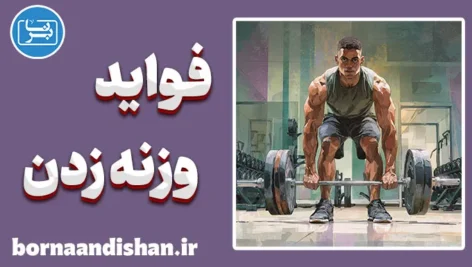 فواید وزنه زدن؛ راز سلامتی، قدرت و آرامش ذهن