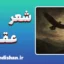 شعر عقاب؛ بیانیه جاودانگی و انتخاب معنا
