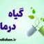گیاه درمانی؛ پل میان طب سنتی و پزشکی نوین